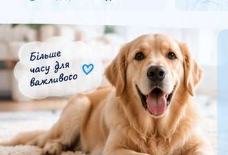 Пес на чистому килимі