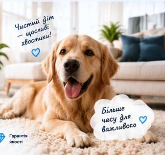 Пес на чистому килимі